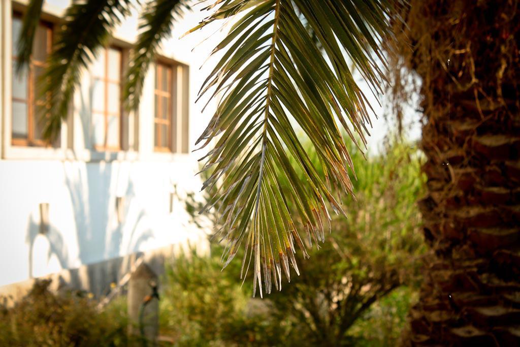 Cabeca Da Cabra Casa De Campo Porto Covo Eksteriør bilde
